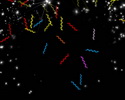 new_year4