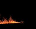 og60